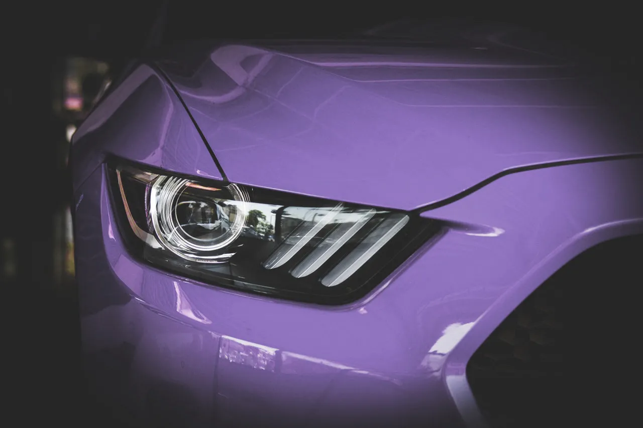 Projector headlight detail