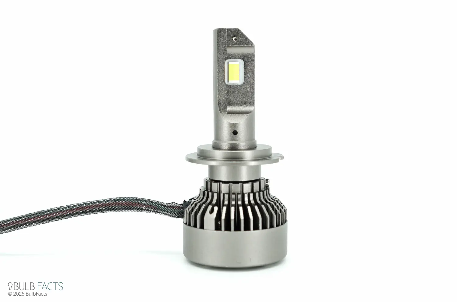Hikari Future LED bulb close-up
